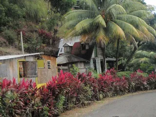 Nine must-see attractions to travel to Dominica6