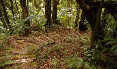 Nine must-see attractions to travel to Dominica7