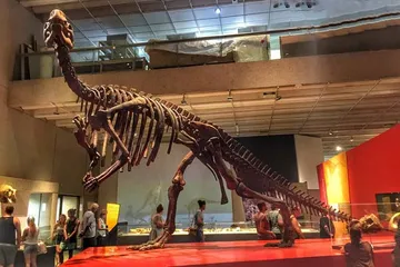 Introduction to Australia Museum Attractions7