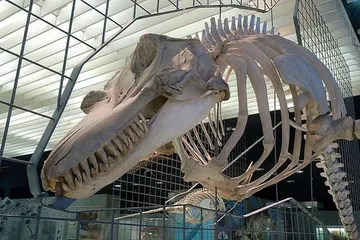 Introduction to Australia Museum Attractions9