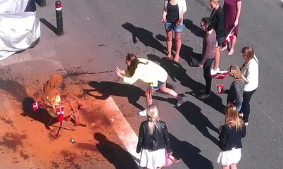 Strange Singles Day in Various Countries3