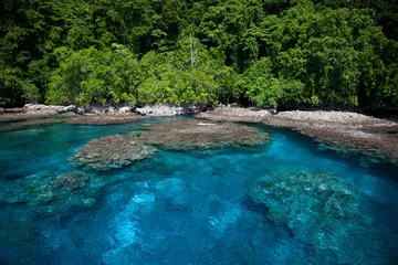 Customs and customs in the Solomon Islands1