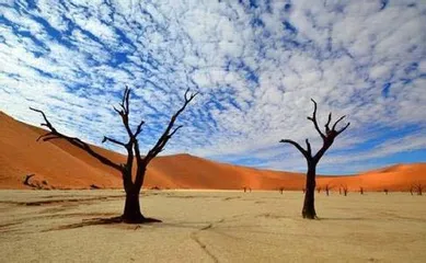 Scenery of the Sea of Dunes in Brazil-Lakisma Rahses1