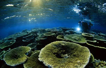 Kiribati travel taboos3