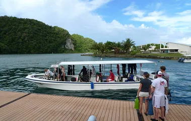 Palau Travel Tips2
