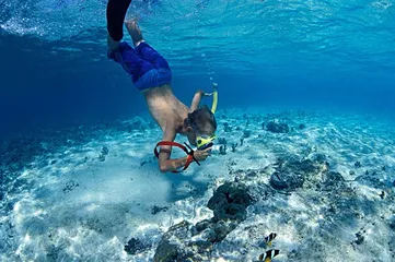 Palau Travel Tips3