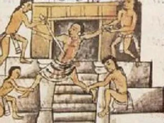 Explore the mysterious Mayan civilization