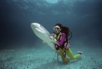 Travel Guide for Bahamas3