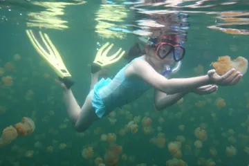 A complete list of tourist attractions in Palau5
