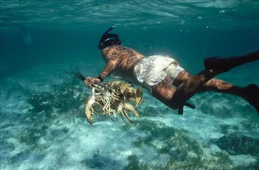 Belize Travel Guide4