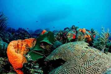Six must-visit tourist attractions in Belize5