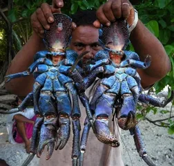 Eating customs in Vanuatu1