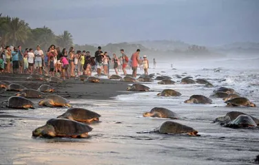 Costa Rica Travel Guide2