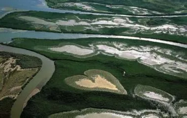 The South Pacific island nation of New Caledonia is extremely skilled in fishing with spear