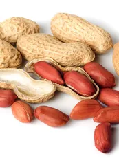 10 peanuts a day make you feel slimmer and lose 7 kilograms a month