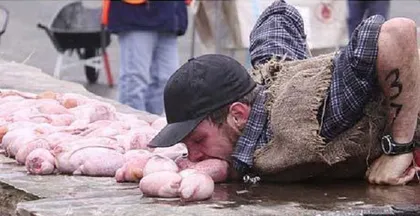 American wonderful "Testicular Festival"2