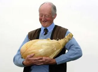 The most bizarre Guinness Book of Records11