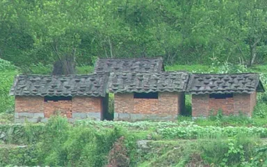 The ancient "house" burial customs3