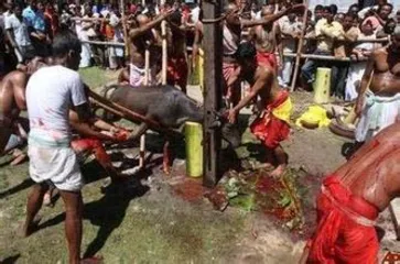 9 strange customs that attract social controversy6