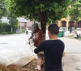 A strange wedding custom in Ankang, Shaanxi Province: the groom was stripped naked, tied to a tree and splashed dog blood2