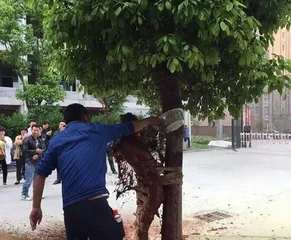 A strange wedding custom in Ankang, Shaanxi Province: the groom was stripped naked, tied to a tree and splashed dog blood3