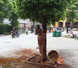 A strange wedding custom in Ankang, Shaanxi Province: the groom was stripped naked, tied to a tree and splashed dog blood4