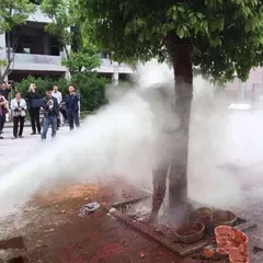 A strange wedding custom in Ankang, Shaanxi Province: the groom was stripped naked, tied to a tree and splashed dog blood7