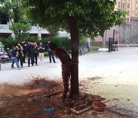 A strange wedding custom in Ankang, Shaanxi Province: the groom was stripped naked, tied to a tree and splashed dog blood8