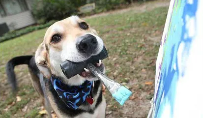 Seven incredible weird animal anecdotes: The outstanding painter dog2