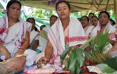 Indian customs villagers hold wedding ceremony for frogs