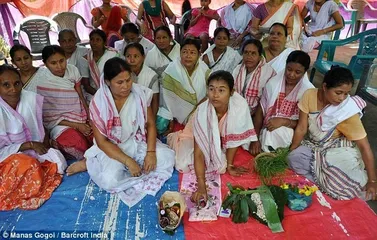 Indian customs villagers hold wedding ceremony for frogs1