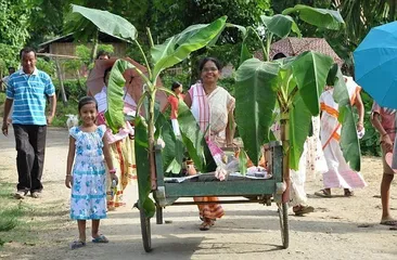 Indian customs villagers hold wedding ceremony for frogs3