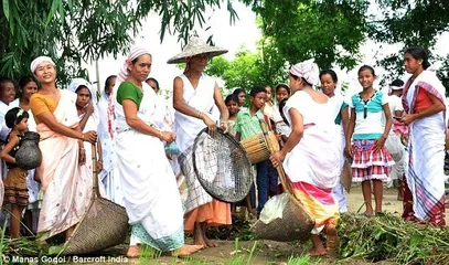 Indian customs villagers hold wedding ceremony for frogs7