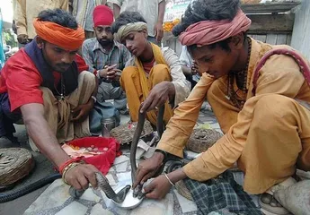 Weird religious rituals in countries around the world5