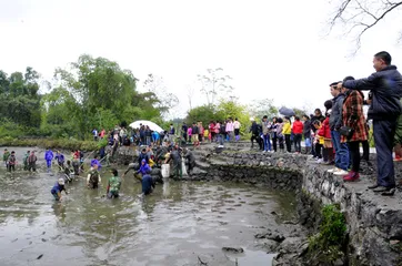 Guzhai: "Kaitang Festival" encourages the flowering of flowers of national unity