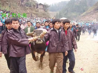 The ancient and mysterious Miao Drum Tibetan Festival2 