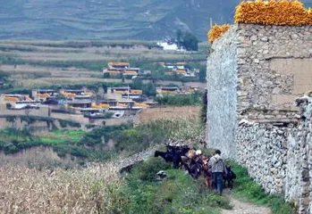 Qiang customs2 