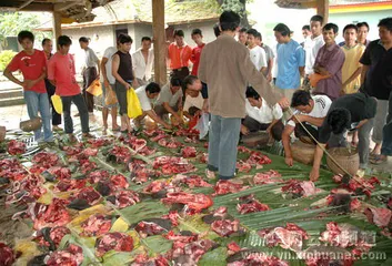 Dai family welcomes the opening festival
