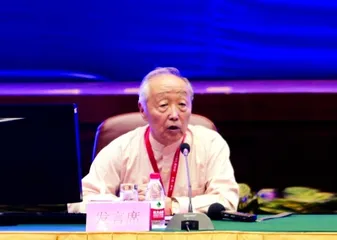 Wu Bingan: Don't be eager for quick success in intangible cultural heritage protection