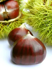 How about eating chestnuts during weight loss?2