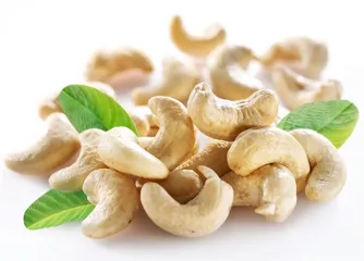 Can nuts help people lose weight?