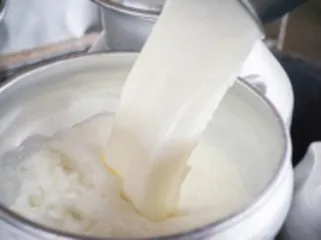 How to make slimming soup a complete set of steps10