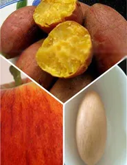 Dietitian teaches you a simple and easy-to-make diet breakfast1