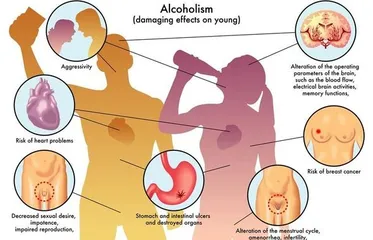 Healthy and correct diet arrangements1