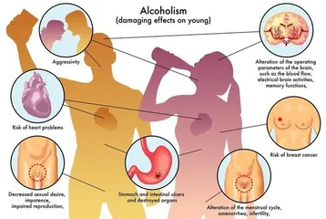 Healthy and correct diet arrangements3