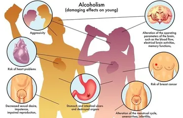 Healthy and correct diet arrangements4