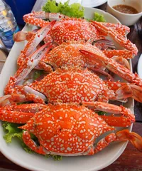 Can I eat seafood during weight loss?2