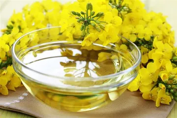 Can I eat olive oil during weight loss?