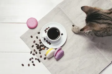Do you drink coffee on an empty stomach to lose weight?1