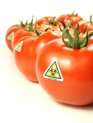Homemade tomato slimming jelly "zero" calories has good slimming effect1